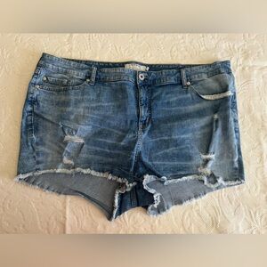 Torrid Shorts